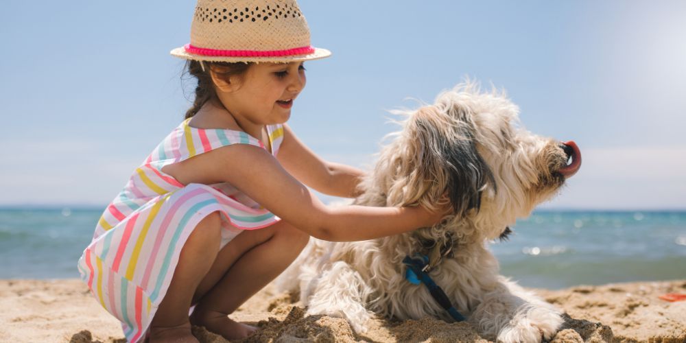 Summer Grooming Tips for Your Four-Legged Friend