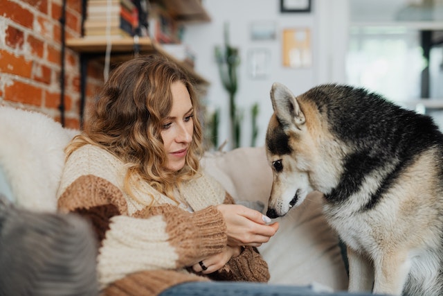 Can Your Dog Read Your Mind?