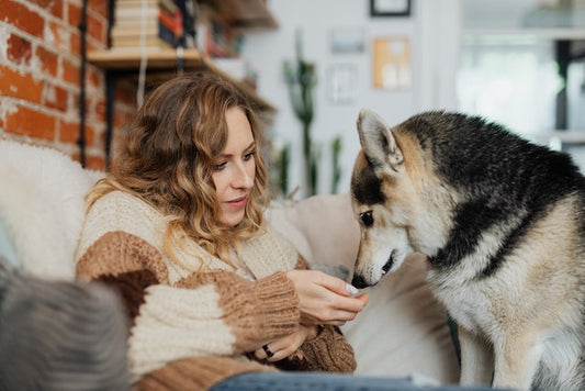 Can Your Dog Read Your Mind?